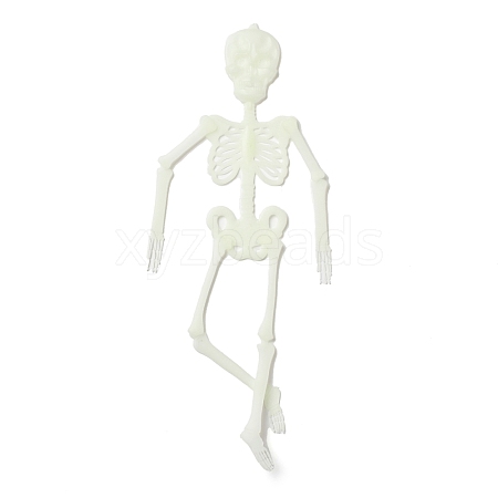 Luminous Plastic Skeleton Model LUMI-PW0006-47A-1