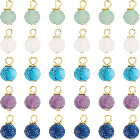 SUPERFINDINGS 60Pcs Frosted Natural & Synthetic Gemstone Charms FIND-FH0004-55-1