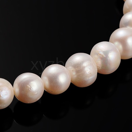 Natural Cultured Freshwater Pearl Beads Strands PEAR-E002-31-01-1