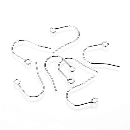 Tarnish Resistant 316 Surgical Stainless Steel Earring Hooks X-STAS-F216-03P-B-1