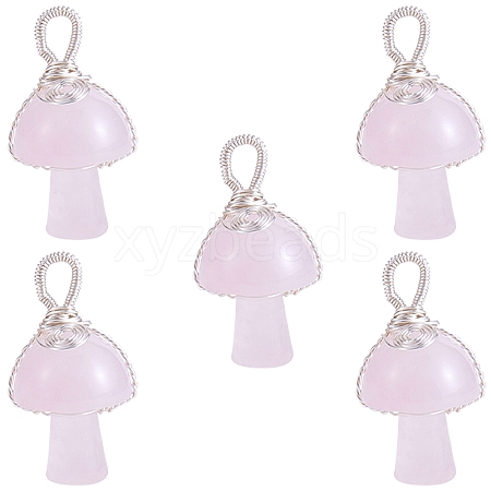 Natural Rose Quartz Pendants PALLOY-SW0004-08-1