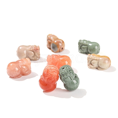 Natural Rainbow Alashan Agate Beads PW-WGAE261-01-1