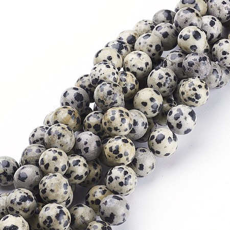 Natural Dalmatian Jasper Beads Strands X-GSR10mmC004-1