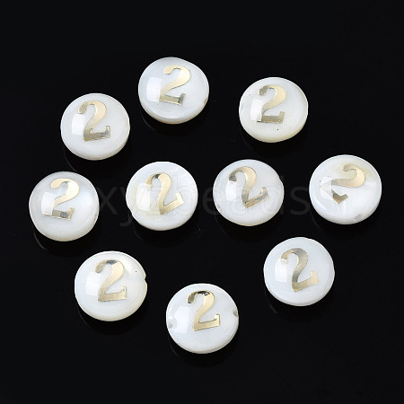 Natural Freshwater Shell Beads SHEL-N003-20-02-1