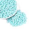 Opaque Colours Glass Seed Beads SEED-Q042-01A-D02-1