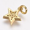 Brass Micro Pave Cubic Zirconia Charms X-ZIRC-G087-35G-2