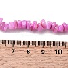 Natural Freshwater Shell Beads SHEL-B003-01F-4