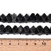 Natural Larvikite Beads Strands G-N327-05-28-5