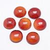 Natural Carnelian Cabochons G-P215-15-12mm-2