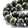 Natural Green Zebra Jasper Beads Strands G-O199-05C-3