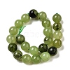 Dyed Natural Malaysia Jade Beads Strands G-G021-02B-14-2