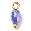 Electroplate Glass Charms PALLOY-JF01382-02-2