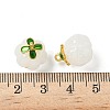 Glass Charms GLAA-P072-04G-02-2