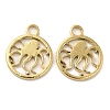 Ion Plating(IP) 304 Stainless Steel Charms STAS-L020-001G-1