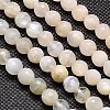 Natural White Moonstone Beads Strands X-G-G549-6mm-01-1