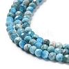 Natural Apatite Beads Strands G-J400-E04-01-4