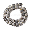 Natural Map Stone Beads Strands G-F839-A32-01-5