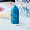 Point Tower Natural Apatite Home Display Decoration PW-WG91959-01-4