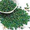 6/0 Inside Colours Fringe Glass Seed Beads X1-SEED-A034-03G-1