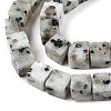 Natural Sesame Jasper/Kiwi Jasper Beads Strands G-T139-6x6-01A-4