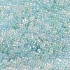 Ceylon Glass Seed Beads SEED-K009-02B-44-4