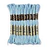 10 Skeins 6-Ply Polyester Embroidery Floss OCOR-K006-A11-1