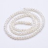 Natural Cultured Freshwater Pearl Beads Strands PEAR-F004-65-2
