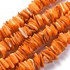 Natural Freshwater Shell Beads Strands SHEL-C001-10B-1