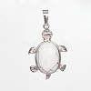 Natural Tortoise Gemstone Pendants G-D648-01-RS-1