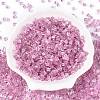 6/0 Transparent Inside Colours Glass Seed Beads SEED-N006-003H-2