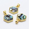 Abalone Shell/Paua ShellCharms KK-E755-14A-G-1