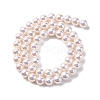 UV Plating Pearlized Glass Pearl Beads Strands GLAA-F128-01B-T02-4