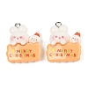 Christmas Theme Rabbit Opaque Resin Pendants RESI-S08-04E-1