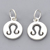 925 Sterling Silver Charms STER-T002-44S-09-2