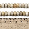 Natural Fossil Coral Beads Strands G-A280-A08-02-5