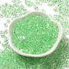 Glass Seed Beads SEED-K009-08A-11-2