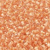 Transparent Glass Round Seed Beads X1-SEED-B001-05A-31-3