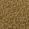 MIYUKI Delica Beads SEED-X0054-DB0771-3