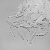 Transparent Acrylic Pendants FACR-S023-SB518-1