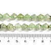 Natural Prehnite Beads Strands G-C171-E03-01-5