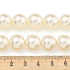 Glass Pearl Beads Strands HY-G002-01F-02-5