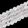 Natural Quartz Crystal Beads Strands G-T106-331-1