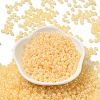 Glass Seed Beads SEED-H002-H-1307-2