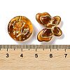 Transparent Acrylic Beads LS-X1-MACR-L005-05B-3