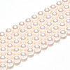 Baking Painted Pearlized Glass Pearl Bead Strands HY-N002-5mm-A11-3