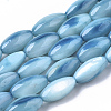 Natural Freshwater Shell Beads SHEL-R047-02E-1