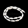 Natural Freshwater Shell Beads Strands SSHEL-B002-16-2