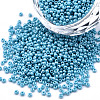 11/0 Czech Opaque Glass Seed Beads SEED-N004-003B-16-1