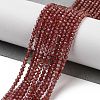 Natural Garnet Beads Strands G-B088-C11-02-2