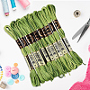 10 Skeins 6-Ply Polyester Embroidery Floss OCOR-CY0004-38K-3